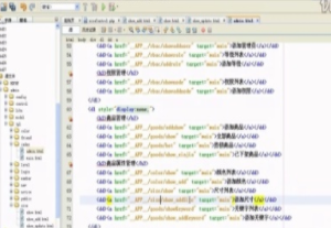 后盾网张瑞峰-实体班学员商城项目视频