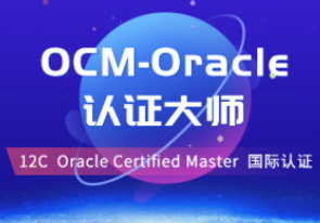 Oracle认证大师课程-OCM-Oracle-PL-SQL开发全套视频