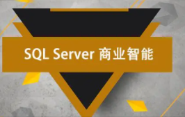 sql server商业智能视频教程