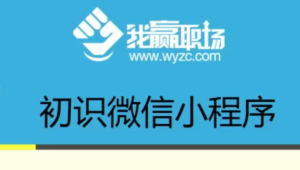 微信小程序开发课_我赢职场_女神带你学微信小程序