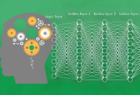 深度神经网络算法深度学系列视频教程