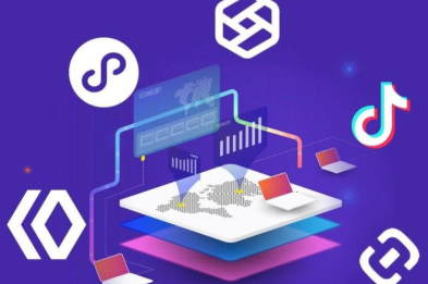 Java仿抖音短视频小程序开发 全栈式实战项目