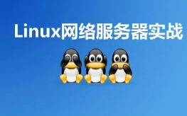 Linux集群应用实战视频(共43课) | 超全Linux集群技术高俊峰-实战式教学视频课程（43讲全）