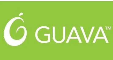 Google Guava实战视频