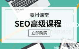 潭州SEO研究中心83期基础班+高级运营班-潭州学院83期