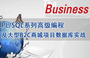 PLSQL系列高级编程及大型B2C商城项目数据库实战