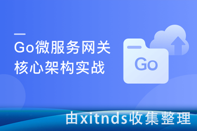 (打造简历金牌项目)Vue+Go 开发企业级微服务网关项目[完结无密]